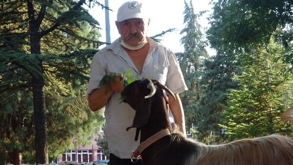Yalnızlıktan sıkılınca sahiplendiği keçiyle dost oldu: ‘İnsanlardan bin kat daha iyi geldi’ - Sputnik Türkiye