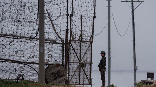Güney Kore,-Kuzey Kore-iltica - Sputnik Türkiye