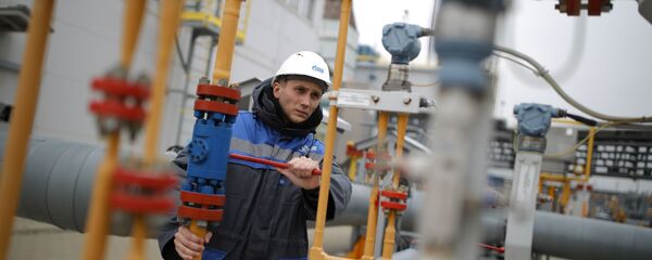 TürkAkım Krasnodar, Rusya - Sputnik Türkiye