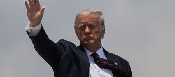 ABD Başkanı Donald Trump - Sputnik Türkiye