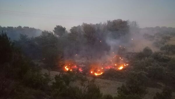 Manisa'nın Soma ilçesinde ormanlık alanda yangın çıktı - Sputnik Türkiye