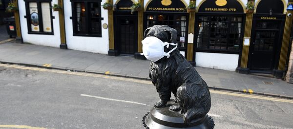 Köpek heykeli-koronavirüs-maske - Sputnik Türkiye