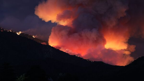 ABD’nin Kaliforniya eyaletinde geçtiğimiz cuma günü başlayan orman yangını 3 gündür devam ediyor. - Sputnik Türkiye