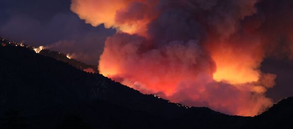 ABD’nin Kaliforniya eyaletinde geçtiğimiz cuma günü başlayan orman yangını 3 gündür devam ediyor. - Sputnik Türkiye