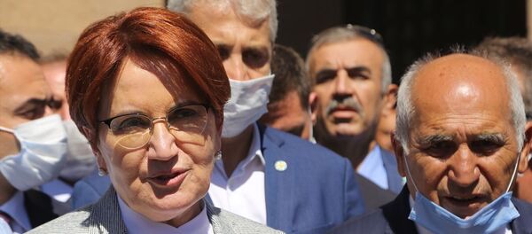Meral Akşener - Sputnik Türkiye