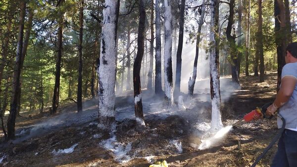 Antalya'da çıkan orman yangını kontrol altına alındı - Sputnik Türkiye