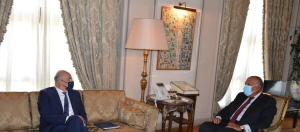 Yunanistan Dışişleri Bakanı Dendias - Mısır Dışişleri Bakanı Sameh Şükrü - Sputnik Türkiye