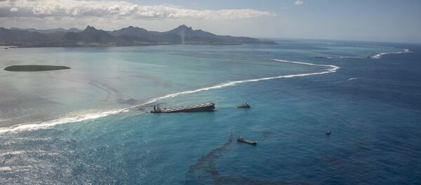 MV Wakashio adlı petrol tankeri, 25 Temmuz'da Mauritius adasındaki bir mercan resifinde karaya oturdu. Binlerce ton petrol denize sızdı. - Sputnik Türkiye