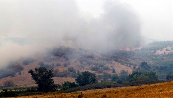 Bulgaristan-Türkiye sınırındaki yangın söndürüldü - Sputnik Türkiye