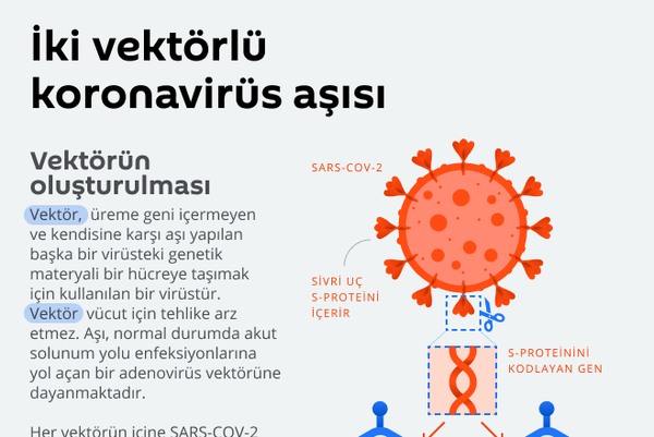 İnfografik İnfografik - Sputnik Türkiye