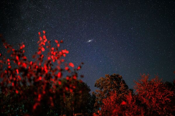 Perseid meteor yağmuru - Sputnik Türkiye
