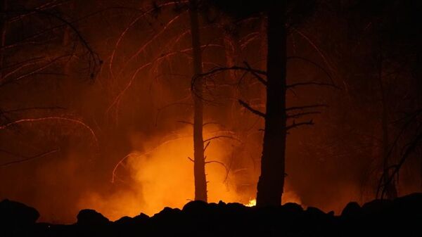 Balıkesir'de Kazdağlarında çıkan orman yangını kontrol altına alınmaya çalışılıyor - Sputnik Türkiye