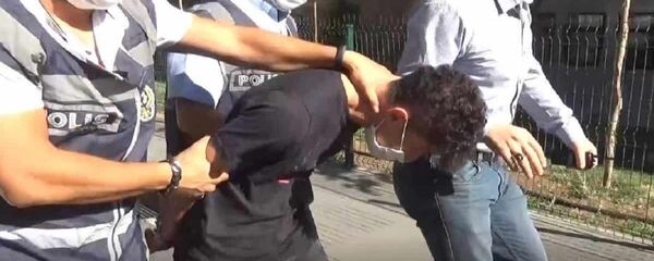 Mehmet Kaplan - Sputnik Türkiye