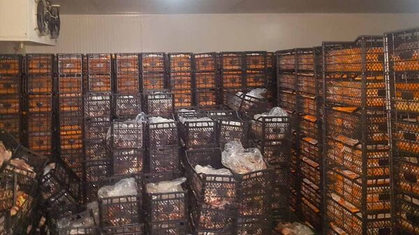 bozuk et - Sputnik Türkiye