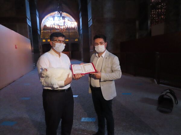 Ayasofya'nın kedisi Gli'ye arkadaş geldi - Sputnik Türkiye