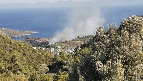 Bodrum'da orman yangını - Sputnik Türkiye