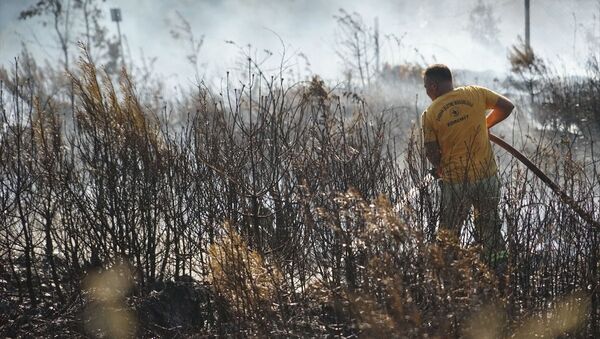 Balıkesir'in Havran ilçesinde orman yetiştirme sahasında çıkan yangın kontrol altına alındı. - Sputnik Türkiye