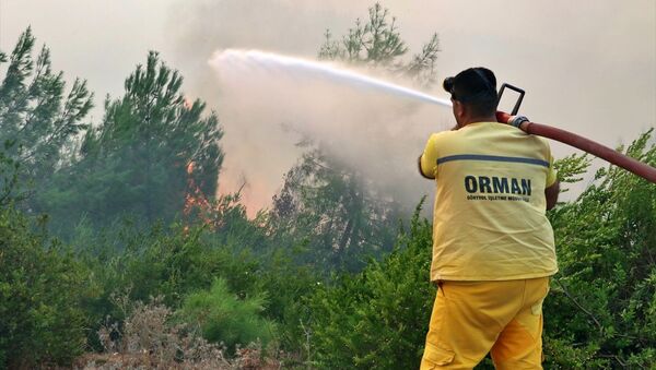 Adana'daki orman yangını - Sputnik Türkiye