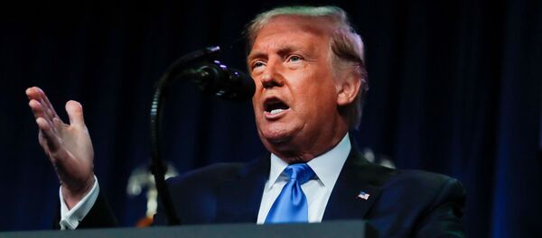 ABD Başkanı Donald Trump, Demokratlar'ın 3 Kasım'daki başkanlık seçimini kazanmalarının tek yolunun hile yapmaları olduğunu savundu.  - Sputnik Türkiye
