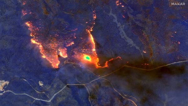 Orman yangınlarının uydu görüntüleri - Sputnik Türkiye
