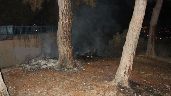 Aydın’ın Kuşadası ilçesinde aşırı alkollü şahıs bir ilkokulun bahçesinde bulunan ağaçları ateşe verdi. - Sputnik Türkiye