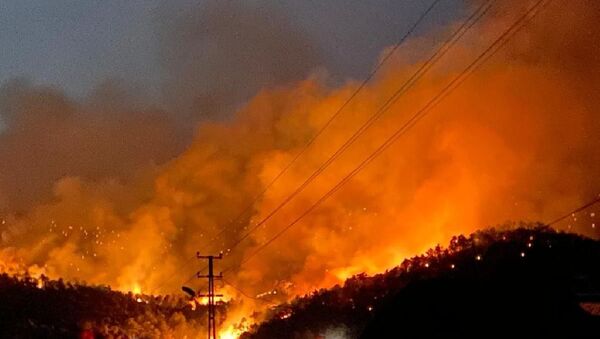Nallıhan’da orman yangını devam ediyor - Sputnik Türkiye