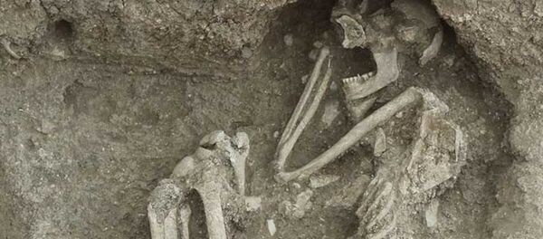 Bilecik’te bulunan 8 bin 500 yıllık insan iskeletinin DNA’sı incelenecek - Sputnik Türkiye