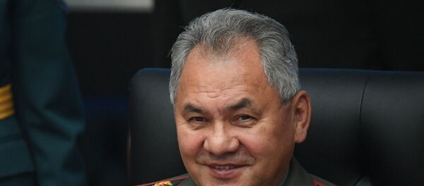 Sergey Soygu - Sputnik Türkiye