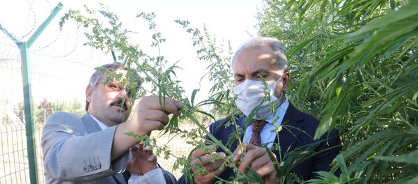 Yozgat Bozok Üniversitesi'nin Rektörü Prof. Dr. Ahmet Karadağ - Sputnik Türkiye