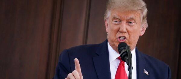 Donald Trump - Sputnik Türkiye