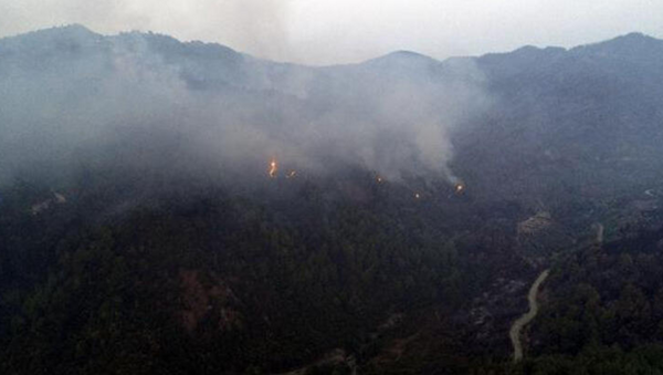 Antakya’da orman yangınına müdahale devam ediyor - Sputnik Türkiye