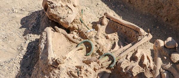 Van'da ‘takı setiyle’ gömülmüş Urartulu kadın mezarı bulundu - Sputnik Türkiye