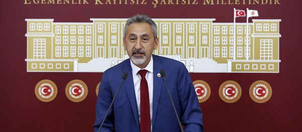 Mustafa Adıgüzel - Sputnik Türkiye