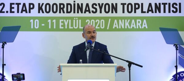 Süleyman Soylu Süleyman Soylu - Sputnik Türkiye