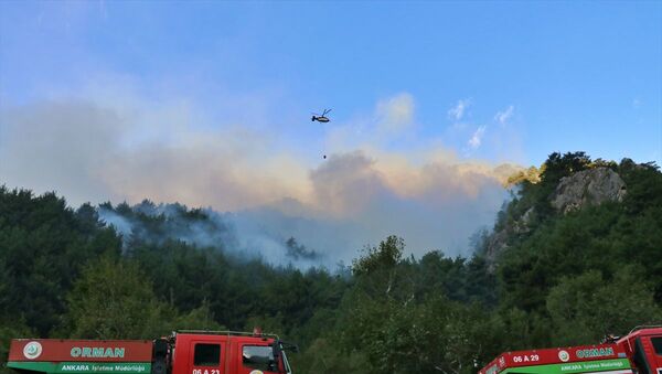 Adana'da orman yangını 3. gününde - Sputnik Türkiye