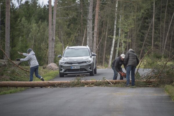 Finlandiya'da Aila Fırtınası 80 bin haneyi elektriksiz bıraktı - Sputnik Türkiye
