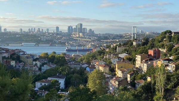 Bir tepeden İstanbul manzarası - Sputnik Türkiye