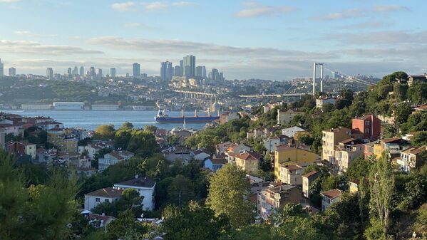 Bir tepeden İstanbul manzarası - Sputnik Türkiye