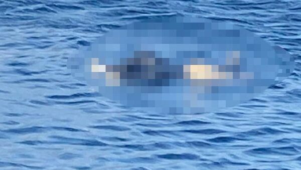 Avşa Adası açıklarında erkek cesedi bulundu - Sputnik Türkiye