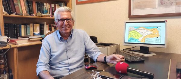 Prof. Dr. Süleyman Pampal - Sputnik Türkiye