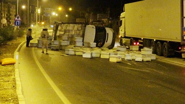 Mersin'de kovan taşıyan kamyon devrildi - Sputnik Türkiye