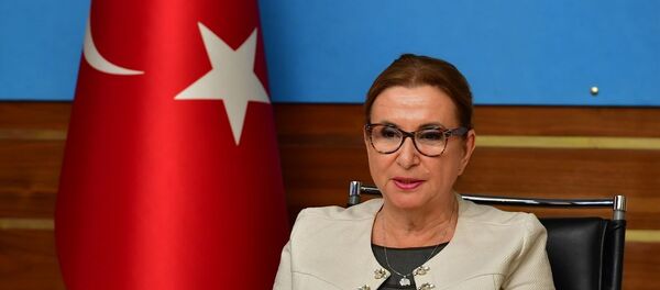 Ticaret Bakanı Ruhsar Pekcan - Sputnik Türkiye