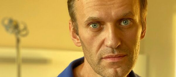 Aleksey Navalnıy - Sputnik Türkiye