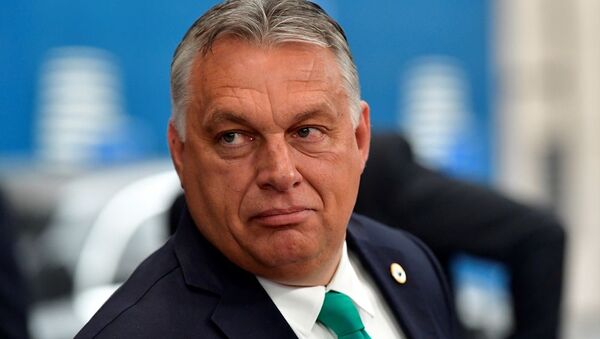 Macaristan Başbakanı Viktor Orban - Sputnik Türkiye