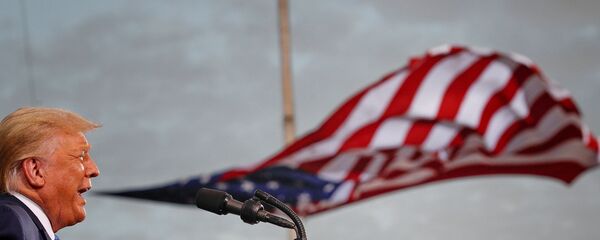 Donald Trump - Sputnik Türkiye