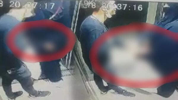 Bursa'da asansörde tacize uğrayan kadın - Sputnik Türkiye
