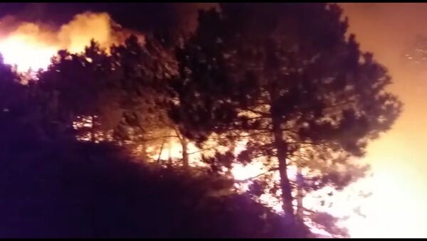 İzmir'in Bergama ilçesinde ormanlık alanda çıkan yangın, ekiplerin müdahalesi sonucu kontrol altına alındı. - Sputnik Türkiye