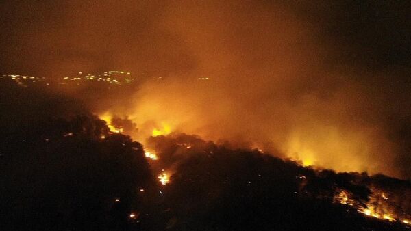 İstanbul Pendik'te Kurtdoğmuş mevkiindeki ormanlık alanda henüz belirlenemeyen bir nedenle yangın çıktı. - Sputnik Türkiye