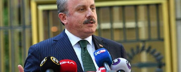 Mustafa Şentop - Sputnik Türkiye