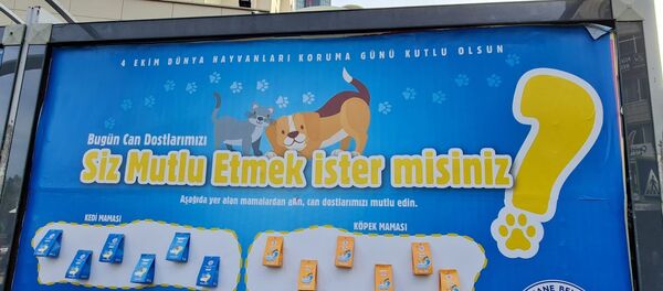 Kağıthane’de billboardlarda reklam yerine mama Kağıthane’de billboardlarda reklam yerine mama - Sputnik Türkiye